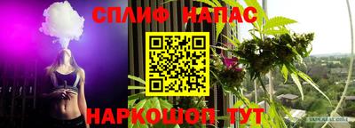 крисы Бузулук