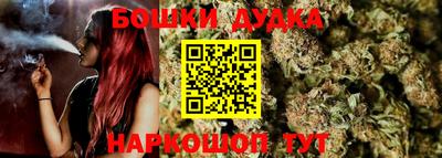 стаф Будённовск