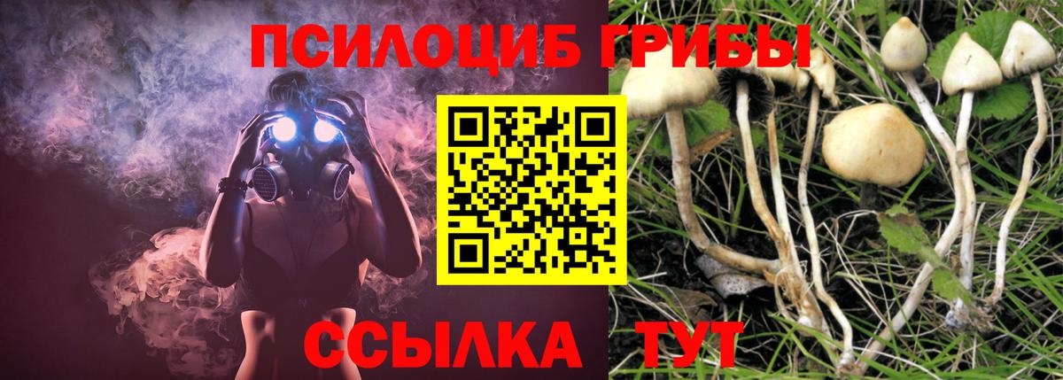 Галлюциногенные грибы MAGIC MUSHROOMS  Учалы 